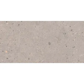 Dlažba Dlažba Pastorelli Biophilic grey 30x60 cm mat P009500