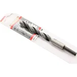 BOSCH Vrtak do dreva 12mm