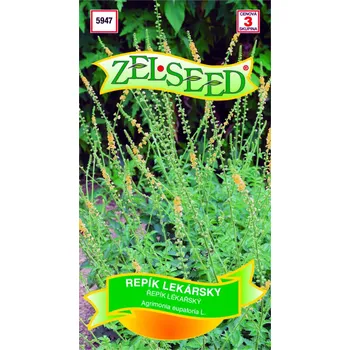 Semeno Semena - ŘEPÍK LÉKAŘSKÝ