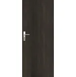 Vchodové dveře DRE Entry pravé 80 cm jilm antracit ENTRYJA80P