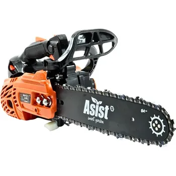 Motorová pila ASIST smart garden AB4P25-30 Řetězová pila 30 cm, 25,4 cm3