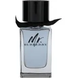 Burberry Mr. Burberry Men Eau de Toilette 50 ml
