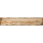 Dlažba Bestile Nail Wood natural 8x44 cm mat NWOOD44NA