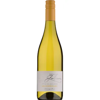 Víno Domaine Guillaman Sauvignon Blanc IGP Côtes de Gascogne 2025