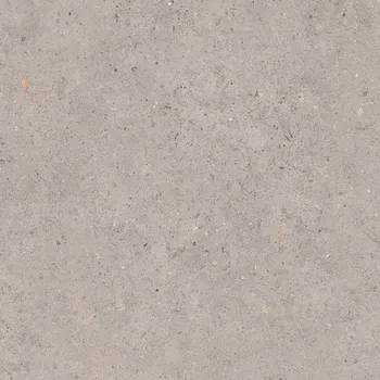 Dlažba Dlažba Pastorelli Biophilic grey 60x60 cm mat P009459