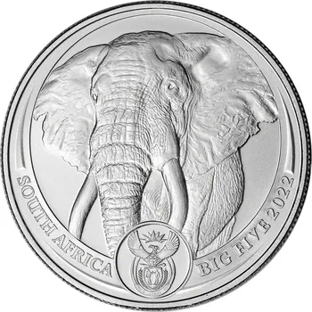 Rand Refinery Platinová mince 1 Oz Big Five Elephant 2022 31,1 g