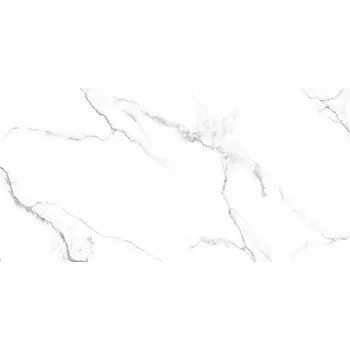 Dlažba DLAŽBA CALACATTA NEW WHITE MATT CARVING 60X120