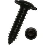 Samořezné šrouby do plechu TORX 3,9x19 mm, nerezové A2, černé, sada 100 ks