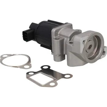 Ventil palivového systému AGR-Ventil KAMOKA 19124