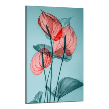 Obraz Obraz na plátně Červené kaly , jednodílný 4339AX