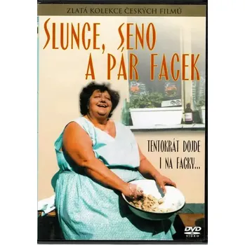 Slunce, seno a pár facek - DVD slim/plast /bazarové zboží/