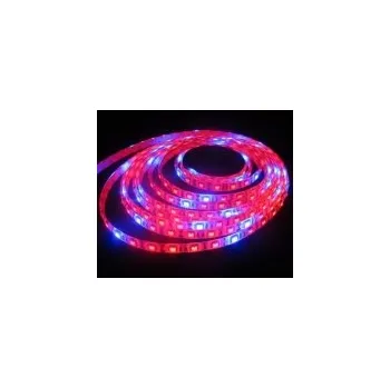 LED páska LED pásek pro rostliny 2in1, 14W/m, grow plant 5:1, voděodolný IP65, 1 m