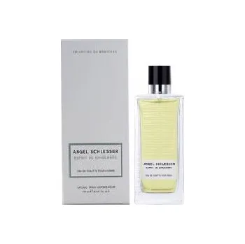 Dámský parfém Angel Schlesser Esprit de Gingembre Toaletní voda EDT - Tester, 100ml, dámske