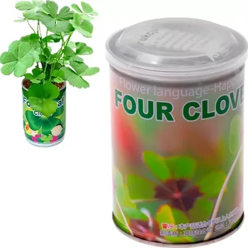 Žertovný předmět Vypěstování kytičky v plechovce - Čtyřlístek