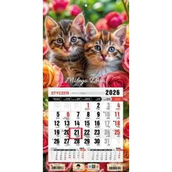 Kalendář Kalendarz 2026 jednodzielny mini kotki