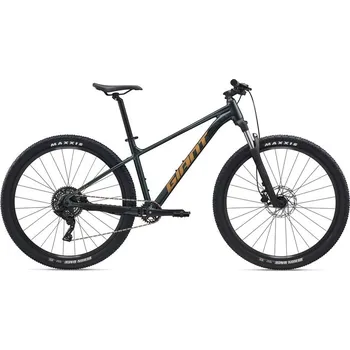 Sport GIANT Talon 29" 2 Asphalt Green 2026 L