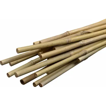 IGOTREND IGOTREND, SET 10 ks 66170 Tyč k rostlinám BAMBUS 1,4-1,6 x 180 cm