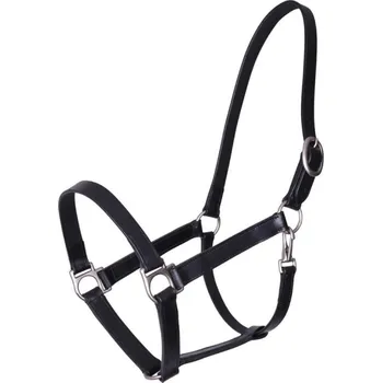 Kožená ohlávka QHP Boaz Pony