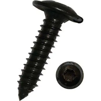 Spojovací materiál Samořezné šrouby do plechu TORX 4,2x25 mm, nerezové A2, černé, sada 100 ks