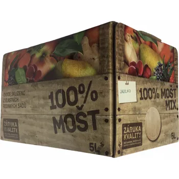 Limonáda Mošt 5L Jablko a Rakytník