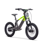 SANO SEDNA Dětské elektrické balanční kolo SEDNA SX 18" zelená