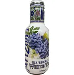 AriZona Blueberry White Tea 500ml [NL]
