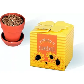 Žertovný předmět Vypěstování kytičky - Slunečnice