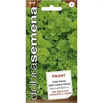 Semeno Semena - CELER LISTOVÝ ´PIKANT´