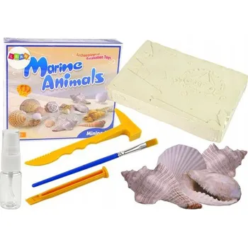 Obraz Vzdělávací sada Vykopávky Mořští živočichové