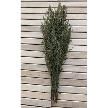 Větvička do sauny Citrónová palina