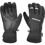 SALOMON Propeller GTX Black