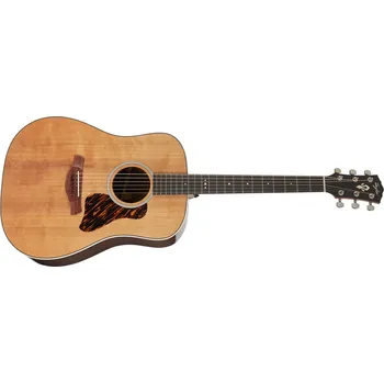 Akustická kytara Taylor Gold Label 710e + prodloužená záruka 3 roky