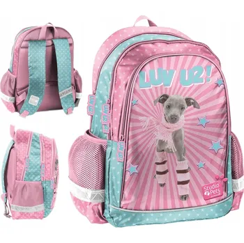 Školní batoh Školní batoh vícekomorový Paso růžový, vícebarevný 22 l