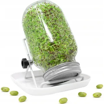 Sklenice SKLENĚNÉ SKLENICE NA KLÍČENÍ PRO PĚSTOVÁNÍ MIKROGREENS S TALÍŘEM 750ML