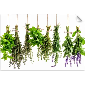 Fototapeta Samolepící plakát do kuchyně a jídelny, Bylinky koření rostliny 130x90