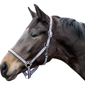 Sport HKM Ohlávka HKM Linz full