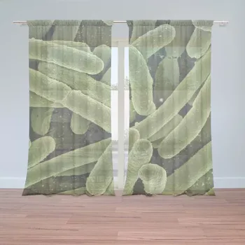 Záclona Sablio Záclony Bakterie: 2 ks - 150x250 cm - Sablio