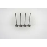 Sací ventil F1C - E6 - daily 3.0 M.Y.2022 gas ex mec-diesel