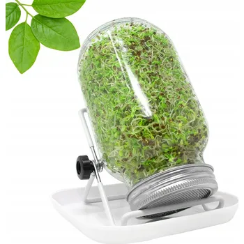 Sklenice SKLENĚNÉ SKLENICE NA KLÍČENÍ PRO PĚSTOVÁNÍ MIKROGREENS S TALÍŘEM 750ML