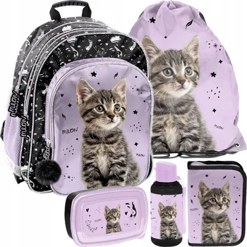 Školní batoh Vícekomorový Školní batoh Paso fialový, vícebarevný 1 l