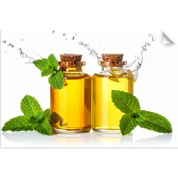 Fototapeta Samolepicí samolepicí do kuchyně jídelny restaurace Oliva za 120x80