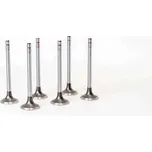 Výfukový ventil 8040/8060.05/25/45 ex iveco