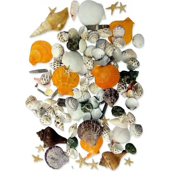 Dekorace do pryskyřice – sada mušlí velká