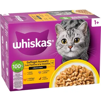 24x85g Whiskas 1+ Adult Megapack kapsičky - drůbeží výběr v omáčce