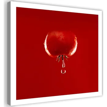 Obraz Obraz na plátně, Rajče a kapky vody červený 20x20