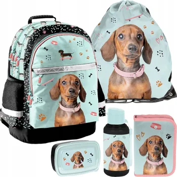 Školní batoh Vícekomorový Školní batoh Paso, vícebarevný, zelený, 1 l