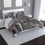 Saténové povlečení Vlak na mostě 2 - Sablio - 140x220 / 90x70