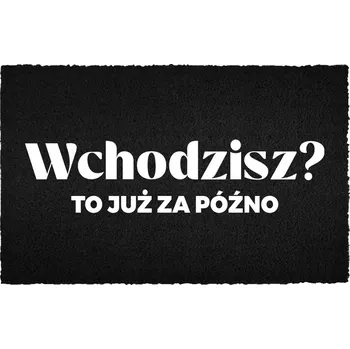 Rohožka Vstupní rohožka 40x60 cm černá kokosová - Humor: Už je pozdě