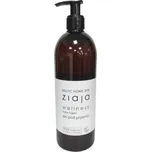 Ziaja Baltic Home Spa Wellness Shower Gel 500ml