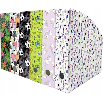 Obraz BOX NA DOKUMENTY A KNIHY 10 cm s potiskem podložky BIURFOL